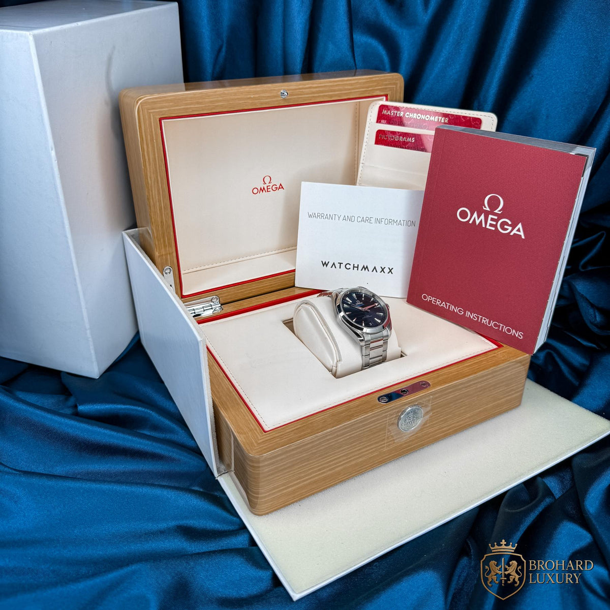 Omega Seamaster Aqua Terra - 220.10.41.21.03.001